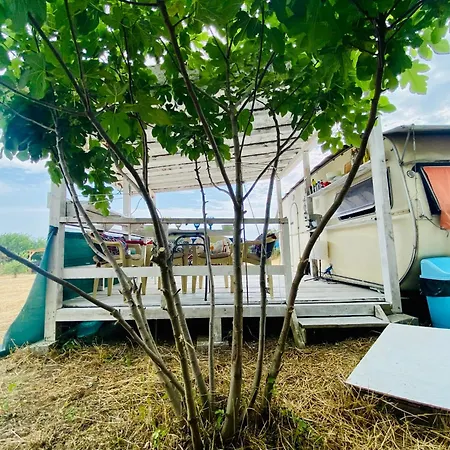 キャンプ場 каравана в *